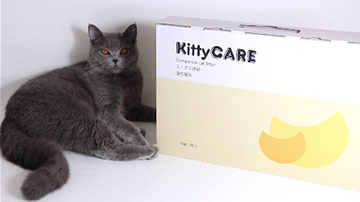 KittyCARE混合猫砂