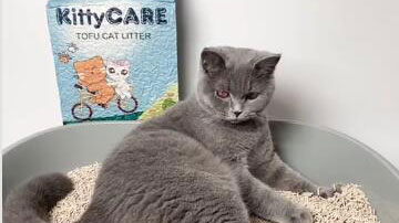 KittyCARE tofu cat litter